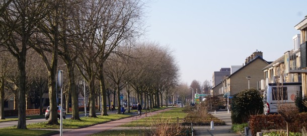 DSC06750